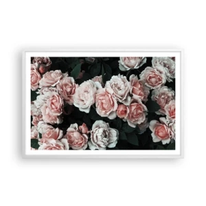 Poster in white frmae - Rose Ensemble - 91x61 cm