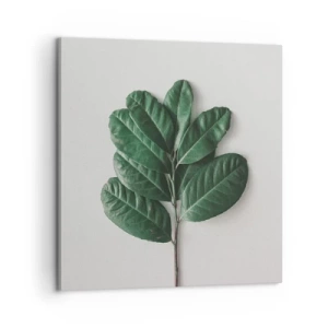 Canvas picture - Drawing of Nature Itself - 60x60 cm