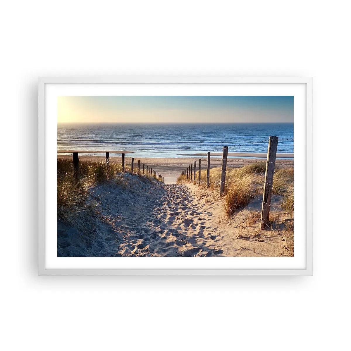 Poster in white frmae - Sound of the Sea, Singing of the Birds, Wild Beach among Grass - 70x50 cm