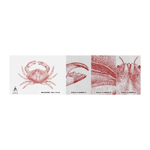 Photo Wallpaper Sample Premium Sand - Crab Like No Other - Crab, Seafood, Shellfish - 100x30 cm