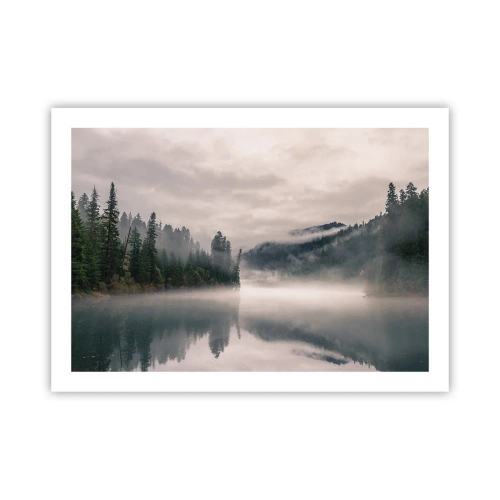 Poster - Musing in the Fog - 70x50 cm