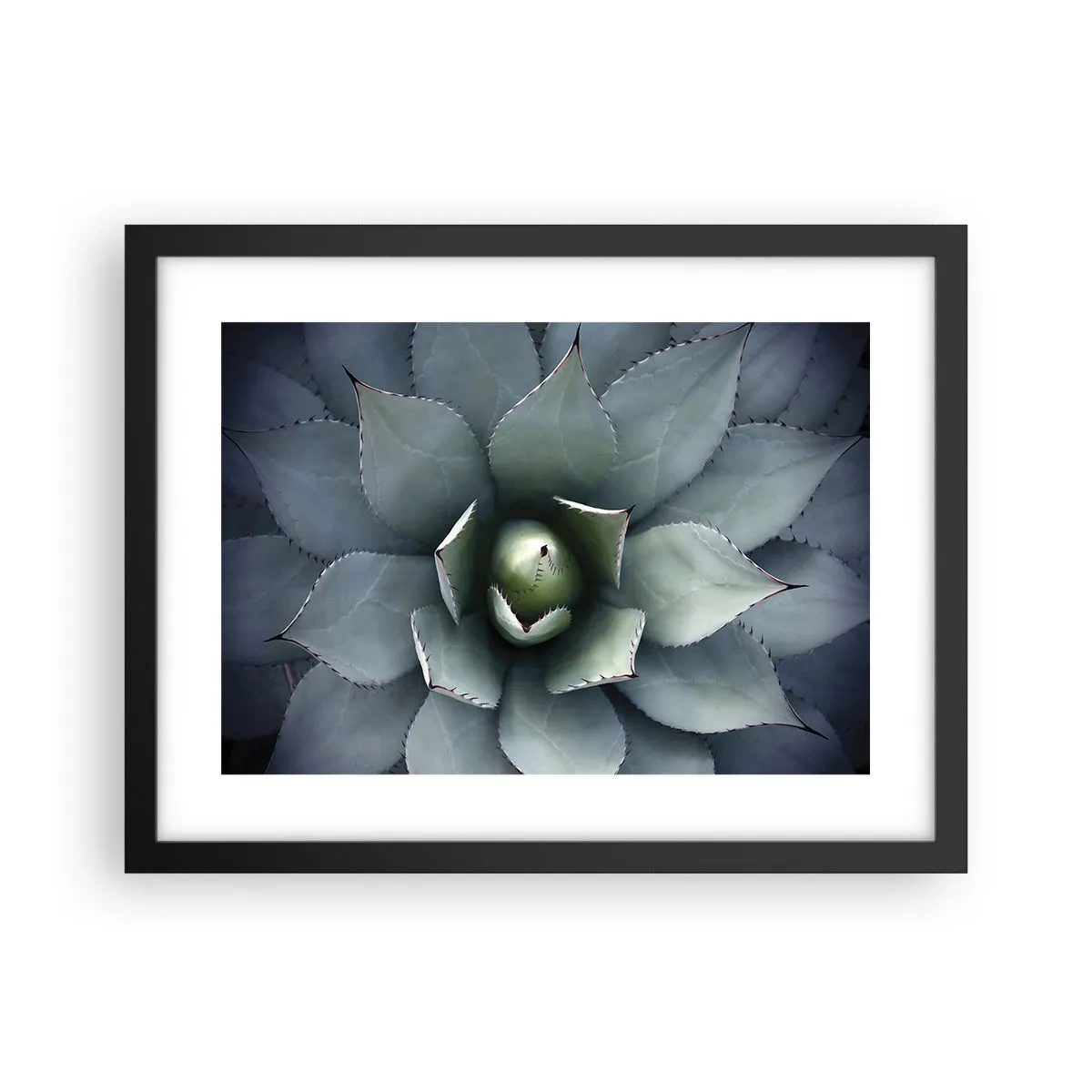 Poster in black frame - Attracts and Warns - 40x30 cm