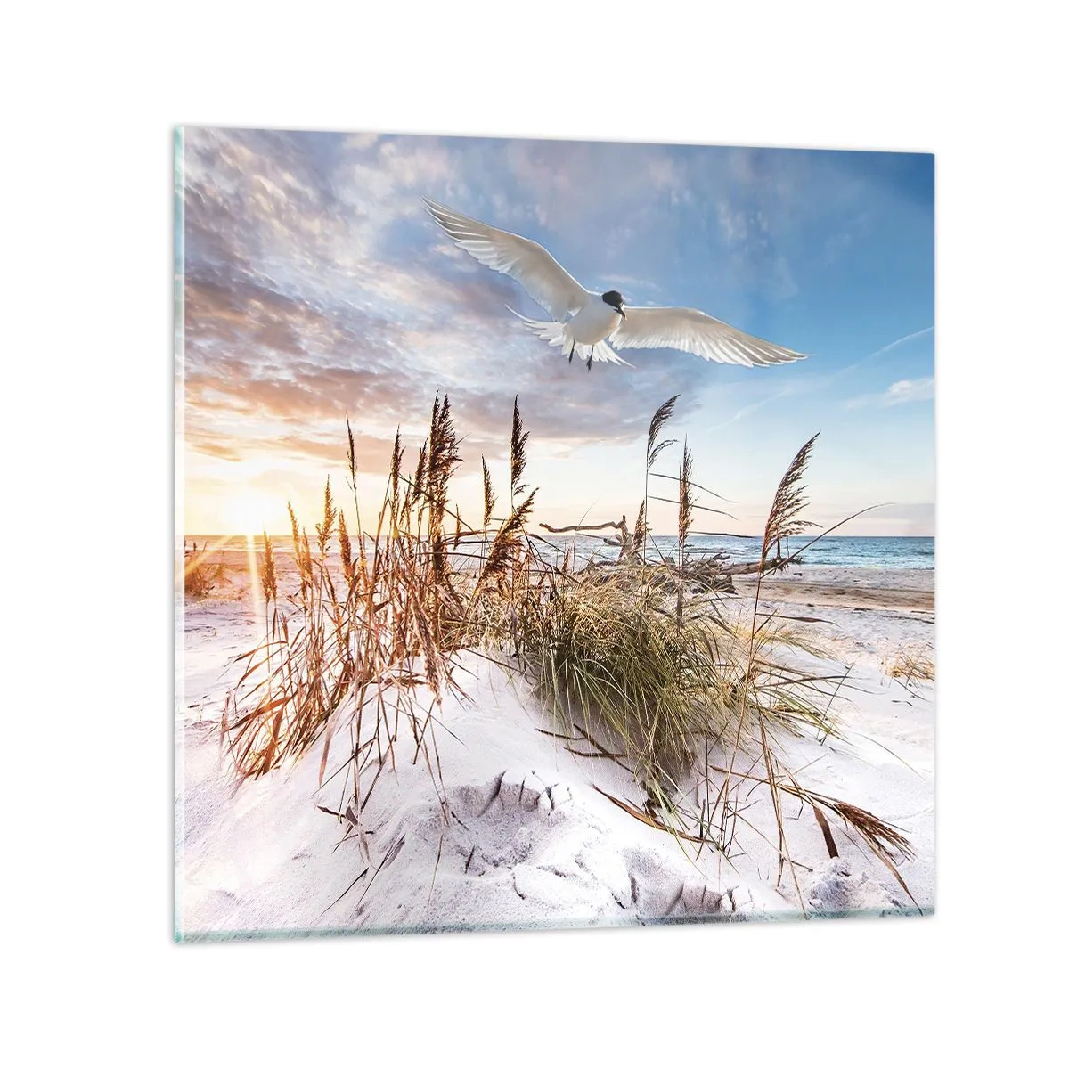 Glass picture - Wind from the Sea - 60x60 cm
