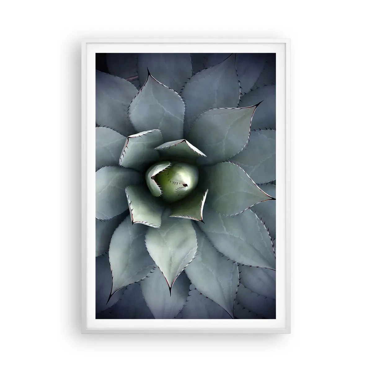 Poster in white frmae - Attracts and Warns - 70x100 cm