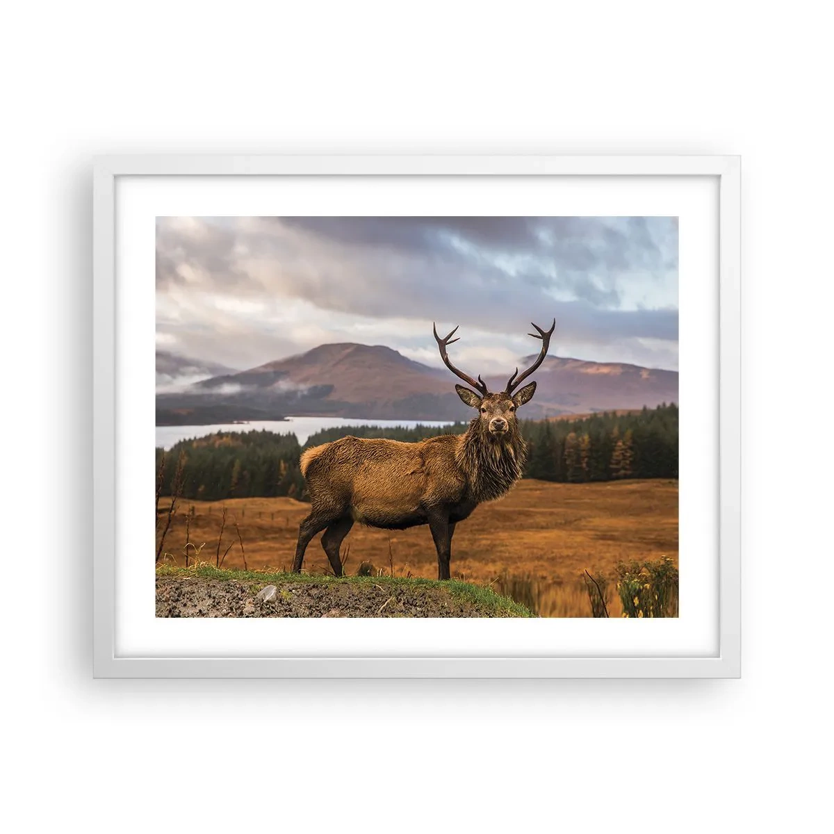 Poster in white frmae - Majesty of Nature - 50x40 cm