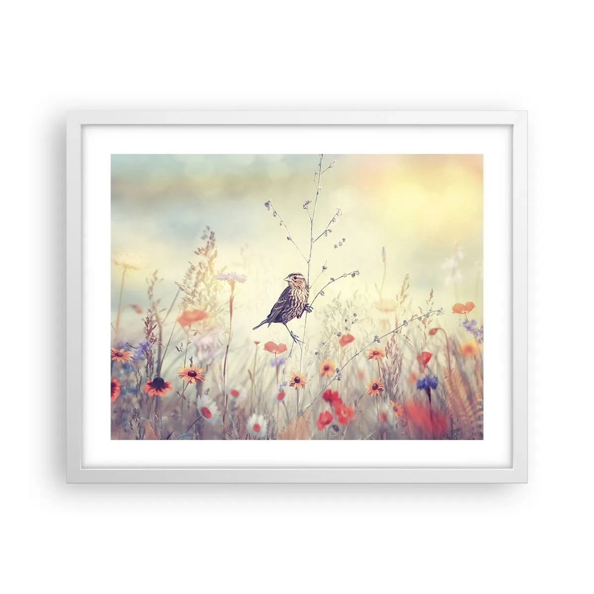 Poster in white frmae - Bird Portrait with a Meadow in the Background - 50x40 cm