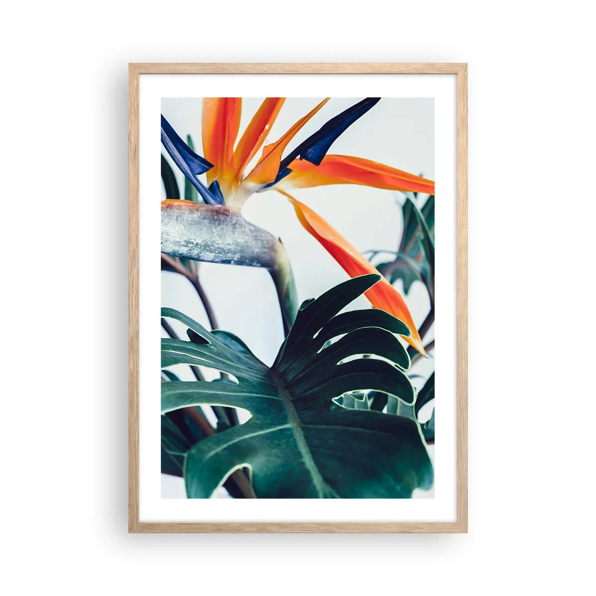 Poster in light oak frame - Birdy Bush - 50x70 cm