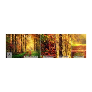 Photo Wallpaper Sample Self-Adhesive Deluxe Sticker - Forest Golden silence - Landscape, Forest, Forest Road - 100x30 cm