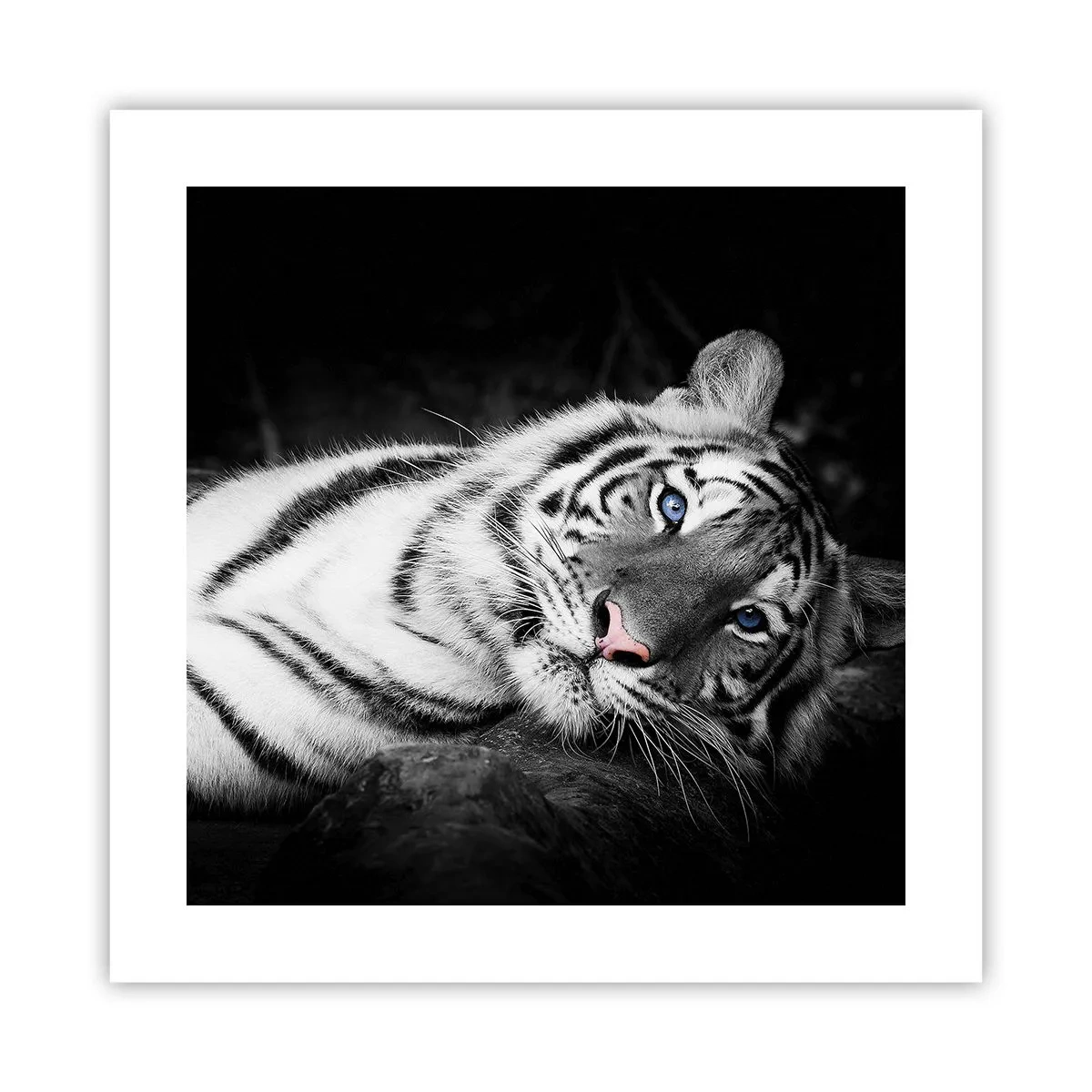 Poster - Wilderness and Calm - 40x40 cm