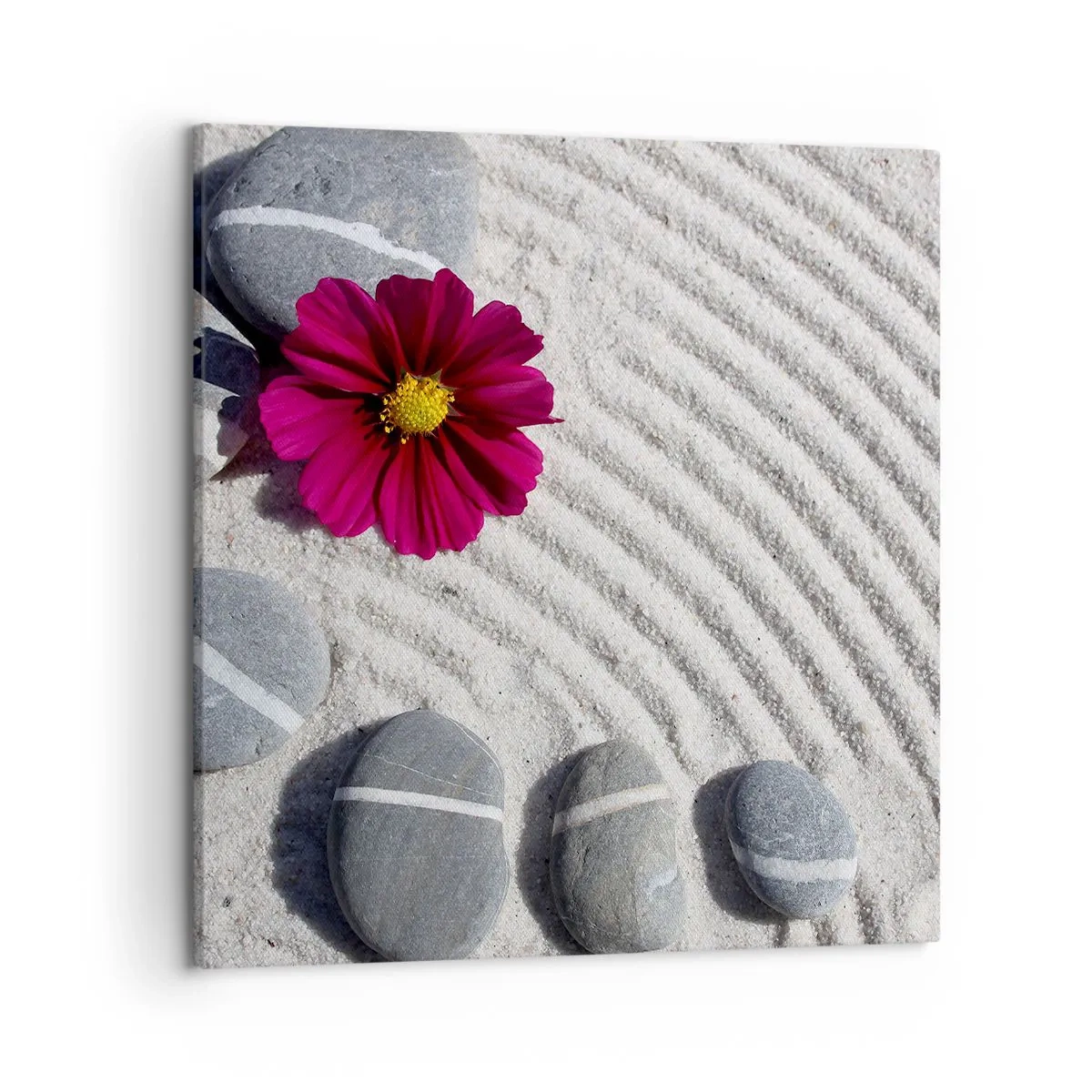 Canvas picture - Energy and Tranquillity of the Magic Circle of Nature - 50x50 cm