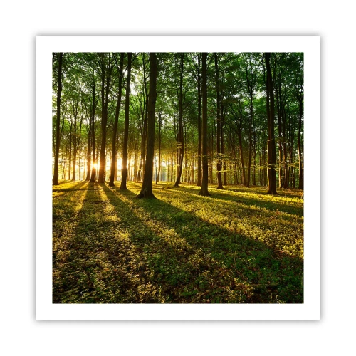 Poster - Photography of All Springs - 60x60 cm