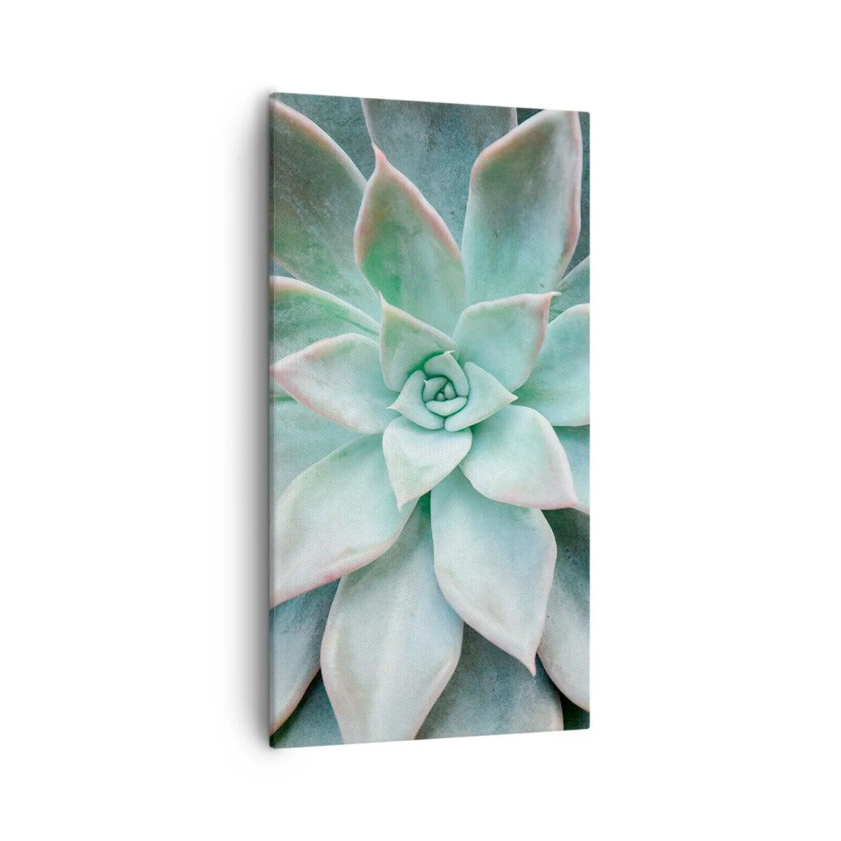 Canvas picture - Heart of a Desert - 55x100 cm