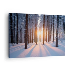 Canvas picture - Winter forest illuminated by the sun's rays - 70x50cm - Clearly Black on White - Modern wall decoration for the living room and bedroom ARTTOR