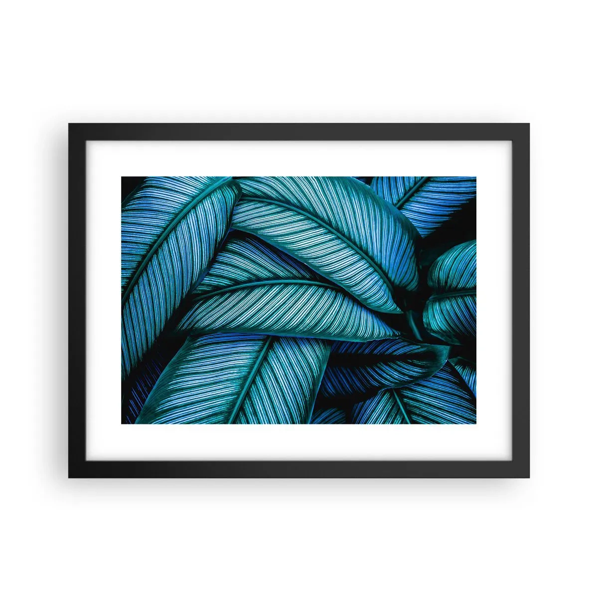 Poster in black frame - Lifelines - 40x30 cm