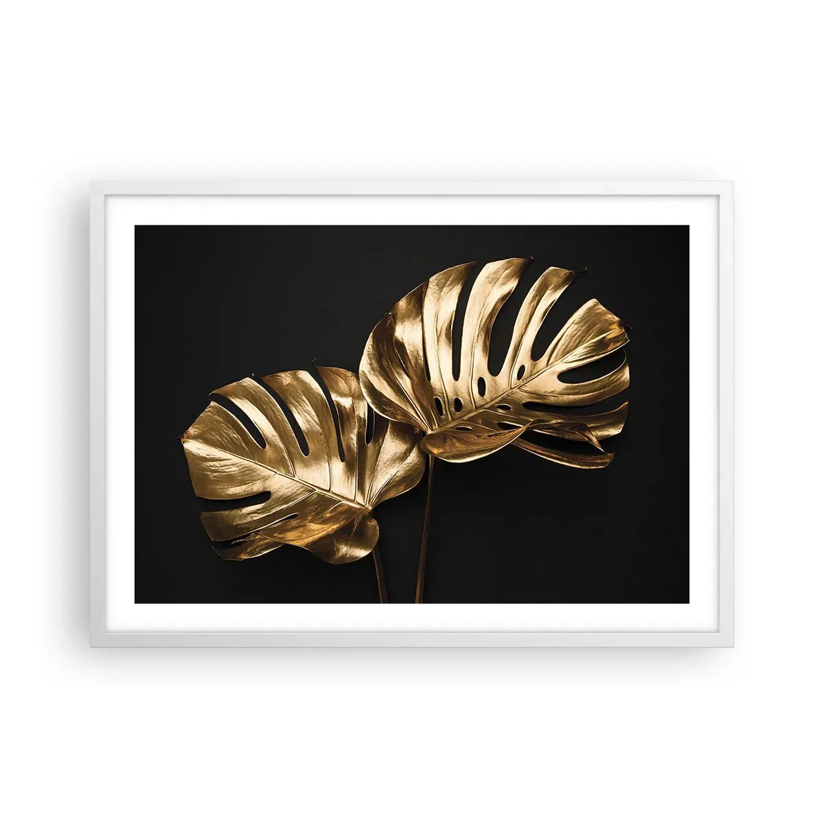 Poster in white frmae - Tresaures of Nature - 70x50 cm