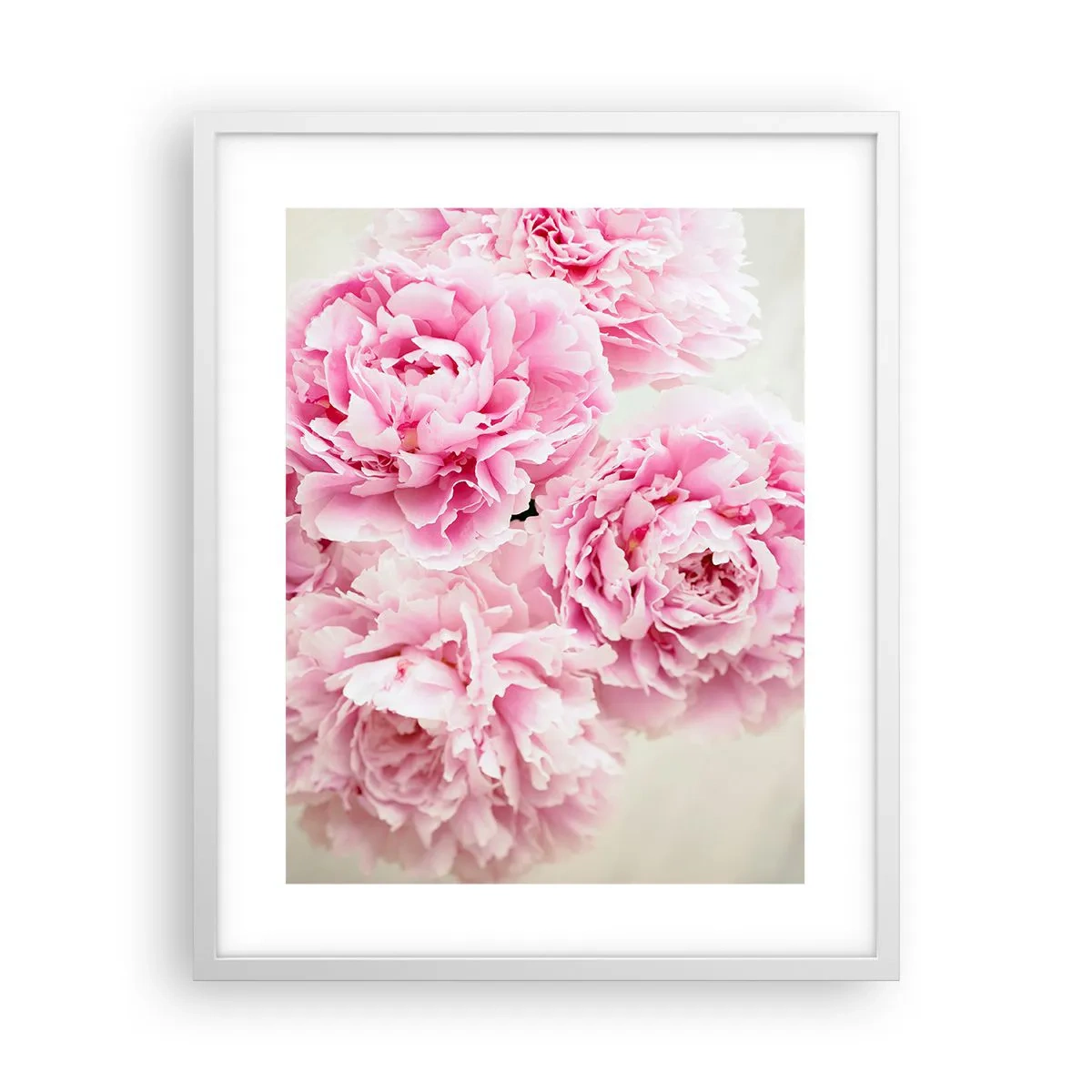 Poster in white frmae - In Pink Splendour - 40x50 cm