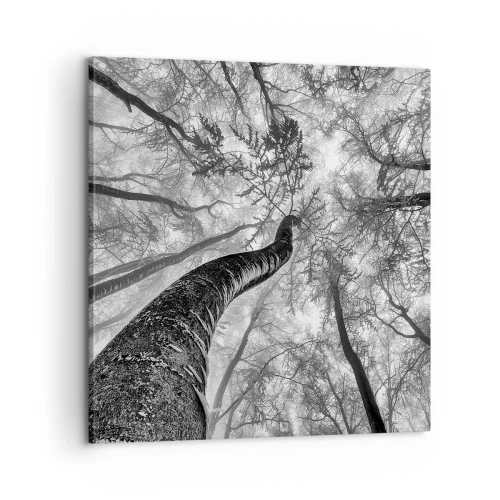 Canvas picture - Race for the Light - 60x60 cm