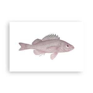 Poster - Big-eyed Fish - 91x61 cm