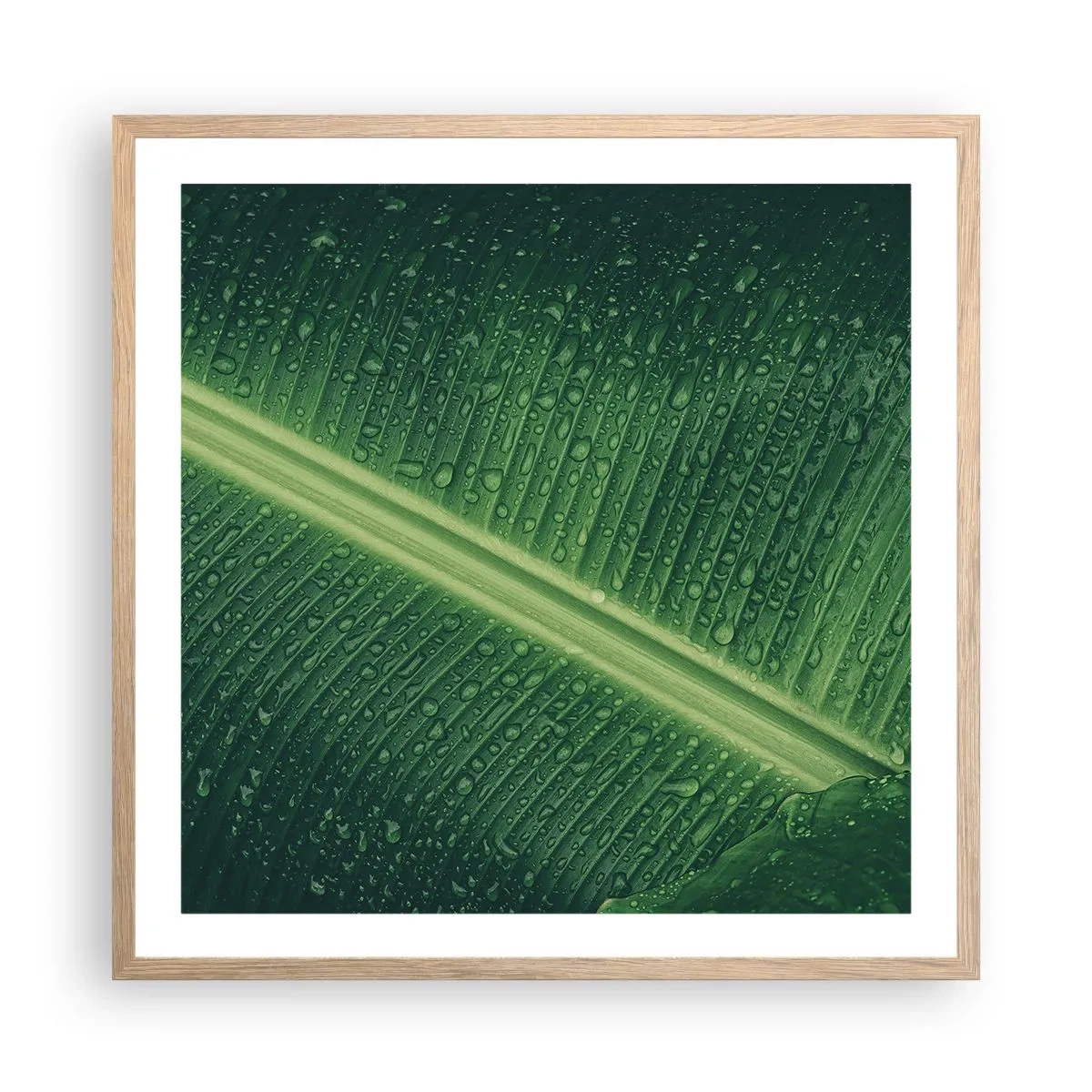 Poster in light oak frame - Structure of Green - 60x60 cm
