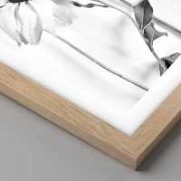 Light Oak