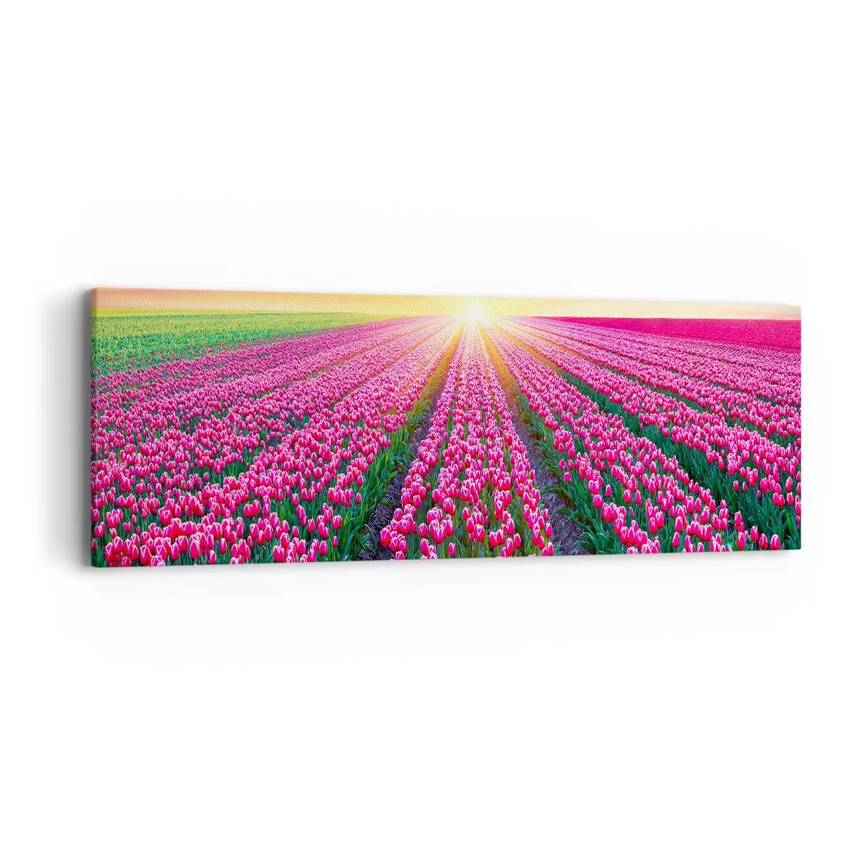 Canvas picture - Beauty Farm - 90x30 cm