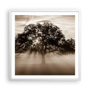 Poster in white frmae - Tree of Good Knowledge - 60x60 cm