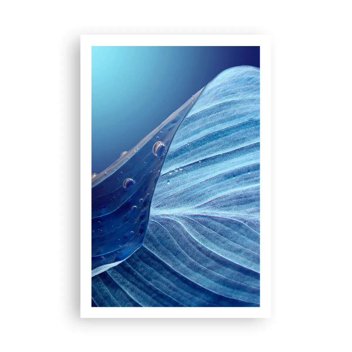 Poster - Hidden Drops of Blue - 61x91 cm
