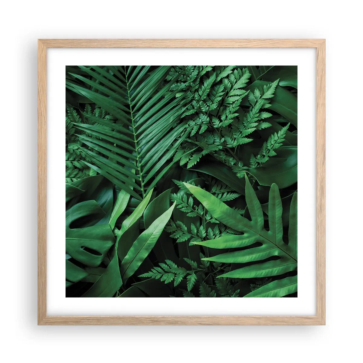 Poster in light oak frame - In a Green Hug - 50x50 cm