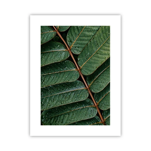 Poster - In Green Rhythm - 30x40 cm