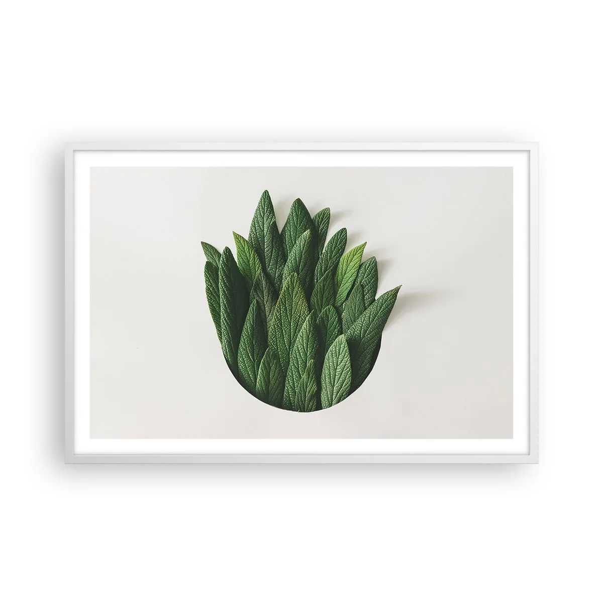 Poster in white frmae - Untamed Curiosity - 91x61 cm