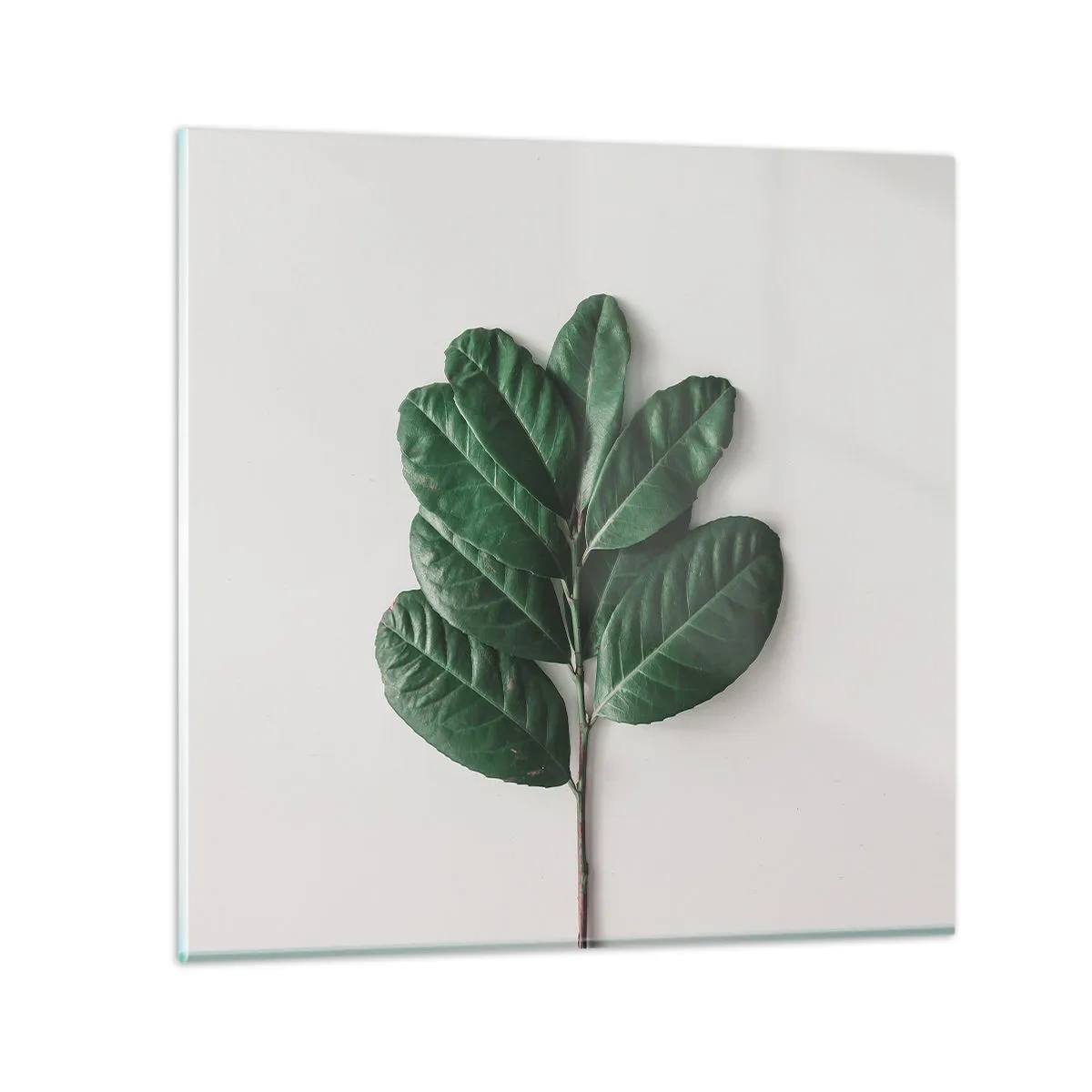 Glass picture - Drawing of Nature Itself - 30x30 cm