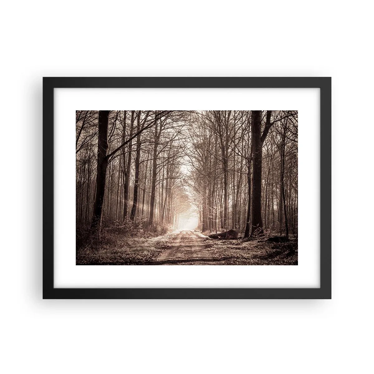 Poster in black frame - Cathedral of the Forest - 40x30 cm