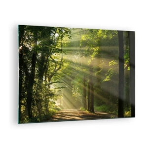 Glass picture - A forest path illuminated by the sun's rays - 70x50cm - Forest Moment - Modern wall decoration for the living room and bedroom ARTTOR