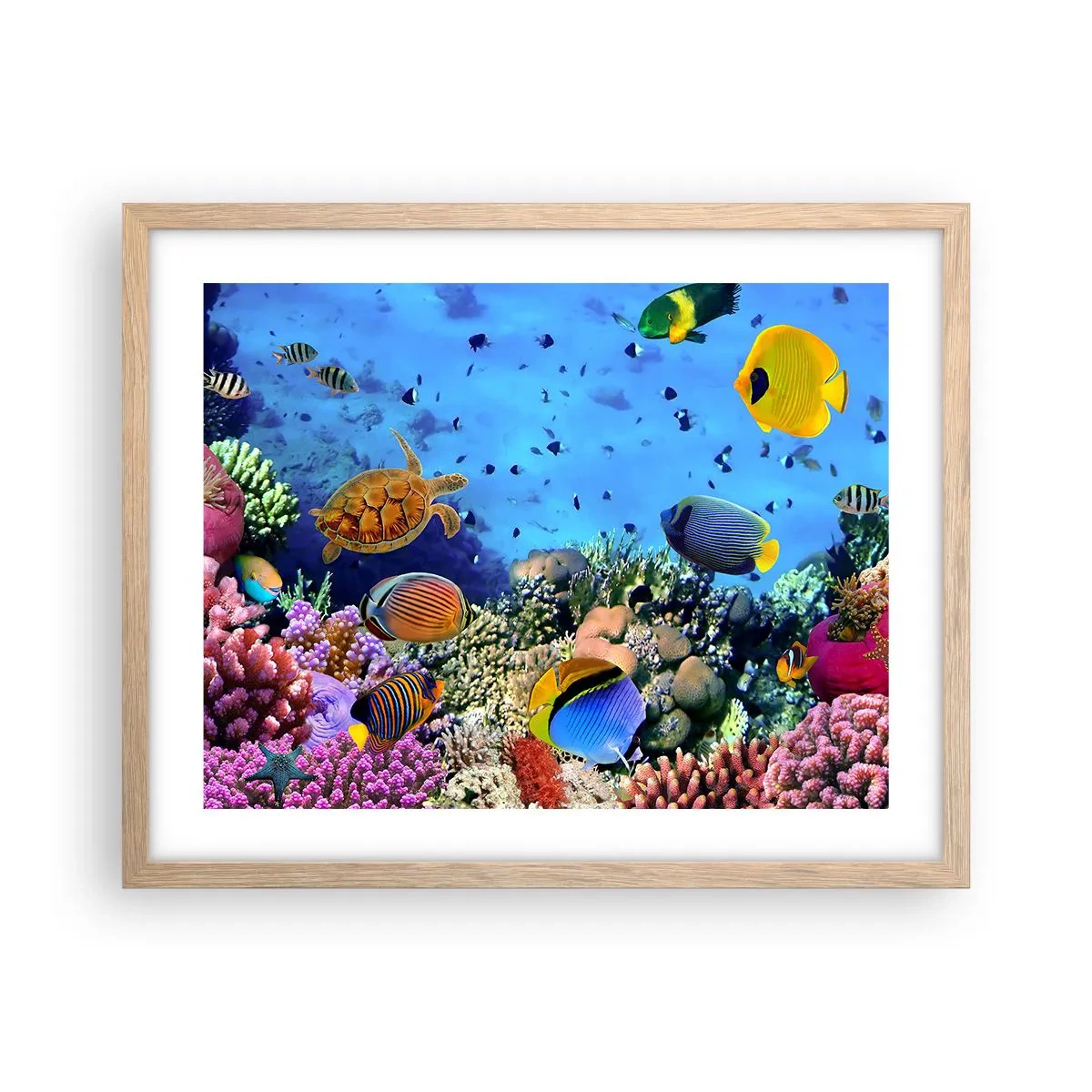 Poster in light oak frame - What Do We Know about Life? - 50x40 cm