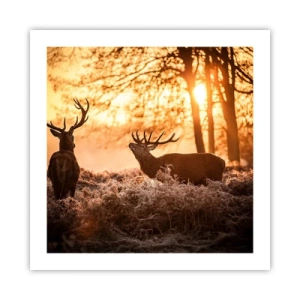 Poster - Hunter's Dream - 50x50 cm