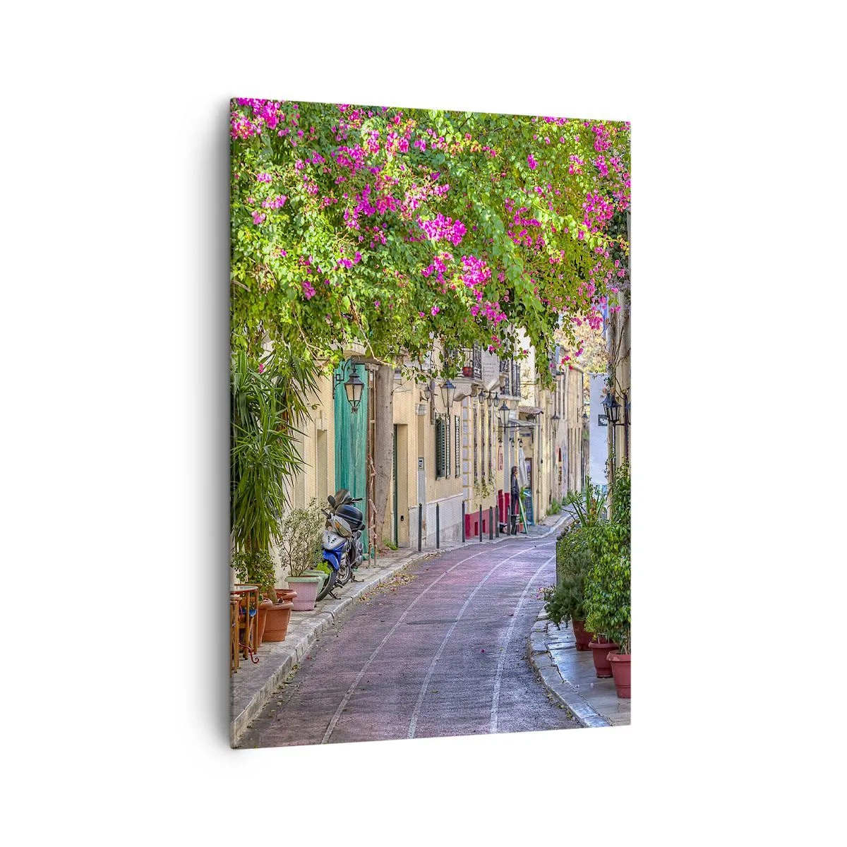 Canvas picture - Blooming Alley - 70x100 cm