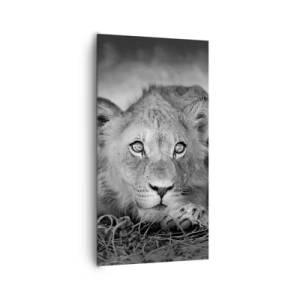 Canvas picture - Royal Puppy - 65x120 cm