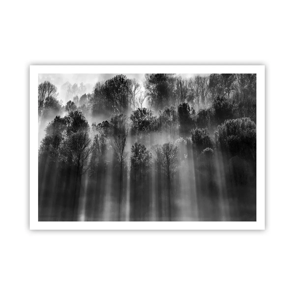 Poster - In the Streams of Light - 100x70 cm