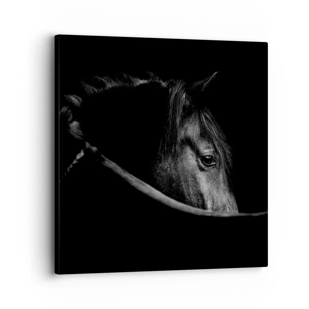 Canvas picture - Black Prince - 30x30 cm