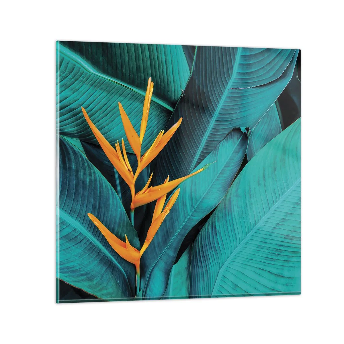 Glass picture - Flower of Eden - 60x60 cm
