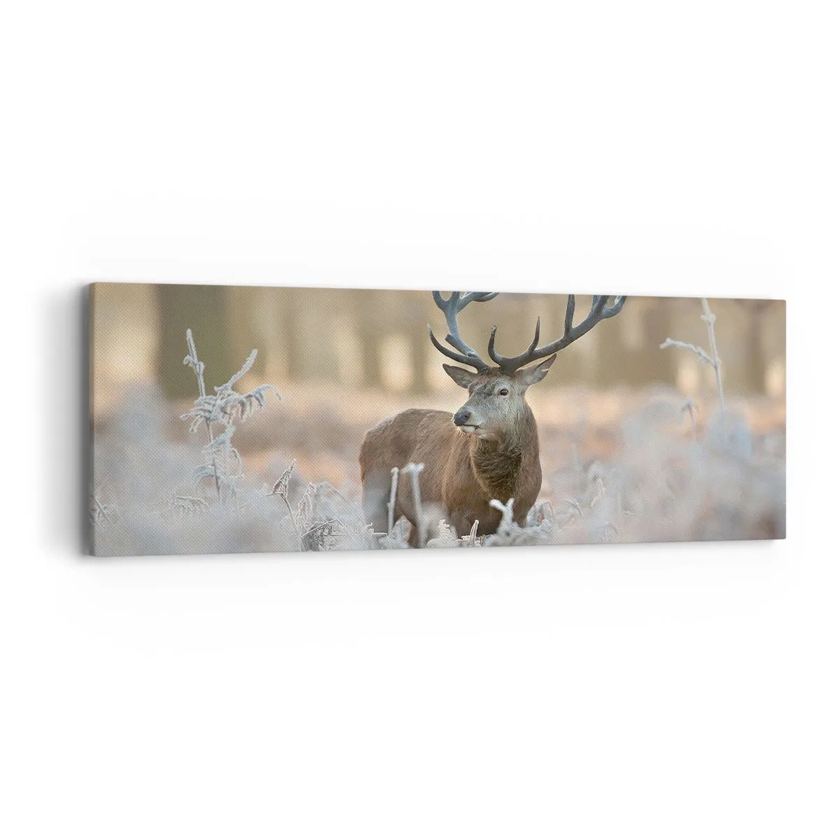 Canvas picture - Chilly Morning - 90x30 cm