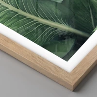 Light Oak