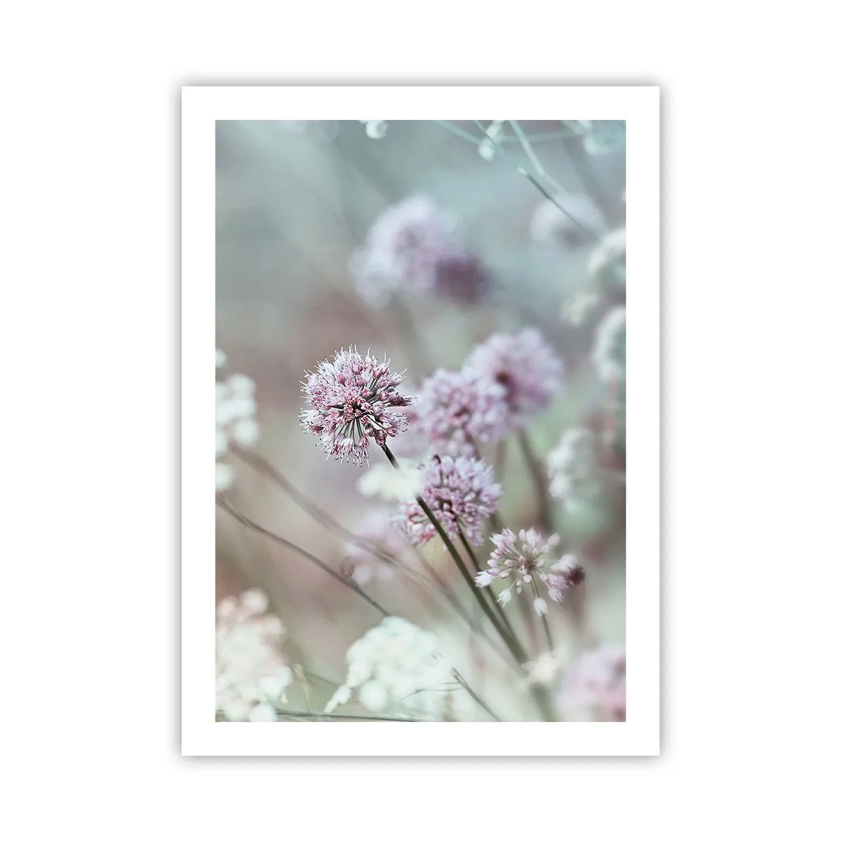 Poster - Sweet Filigrees of Herbs - 50x70 cm