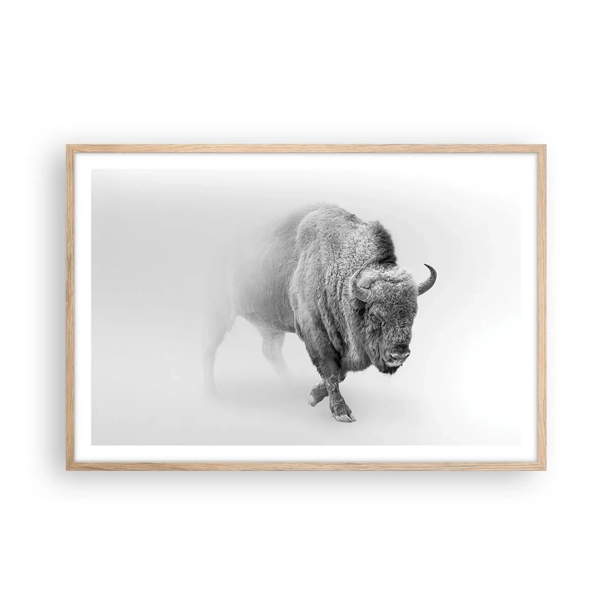 Poster in light oak frame - King of the Prairie - 91x61 cm