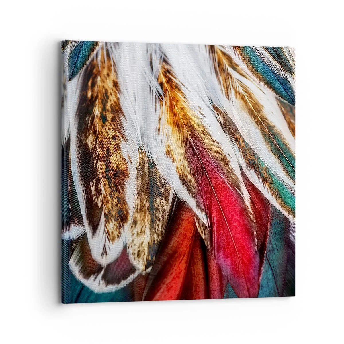 Canvas picture - Secrets of Flight - 70x70 cm