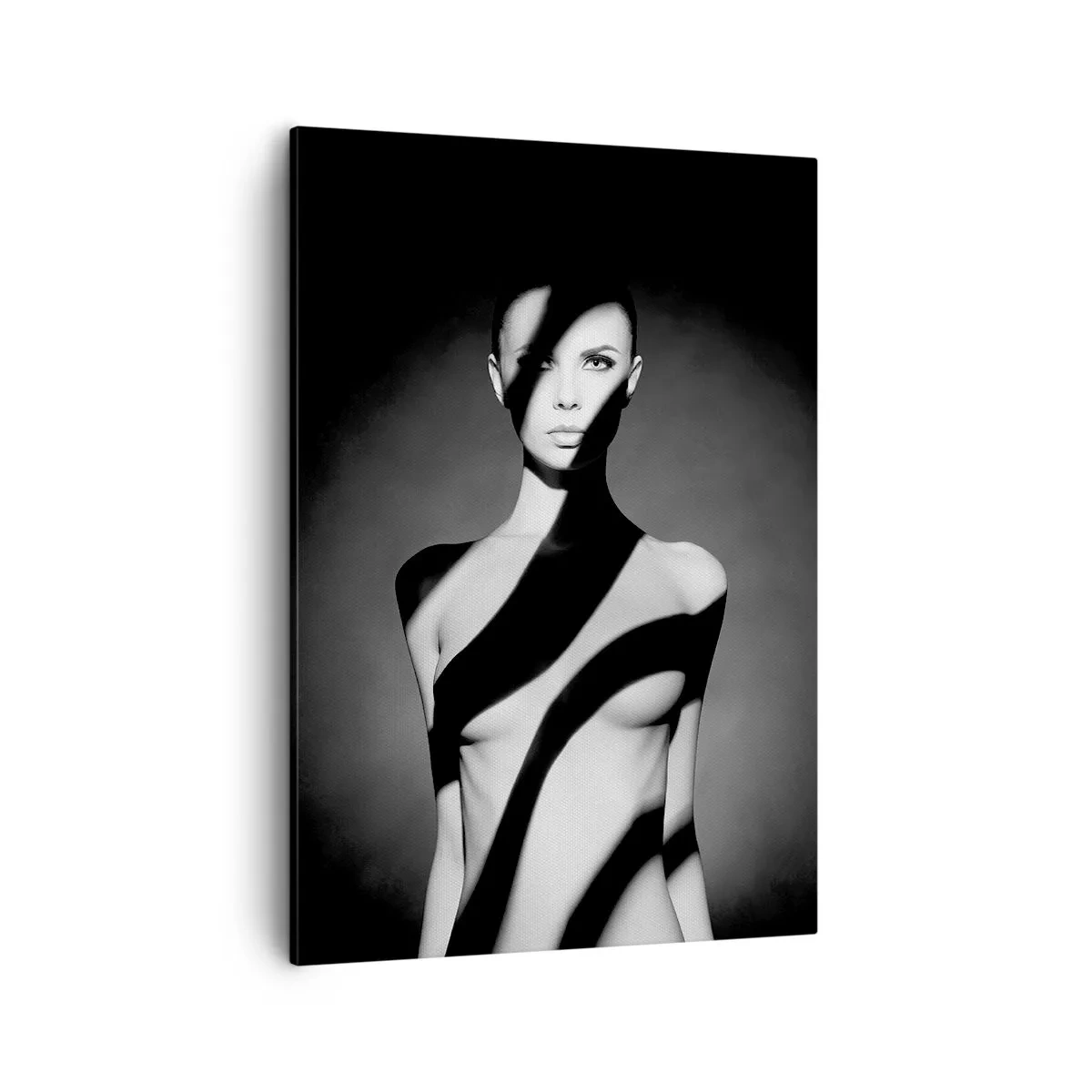 Canvas picture - In the Light and in the Shadow - 50x70 cm