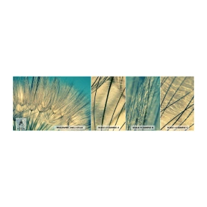 Photo Wallpaper Sample Self-Adhesive Deluxe Sticker - Waiting for the Wind - Dandelion, Meadow, Nature - 100x30 cm