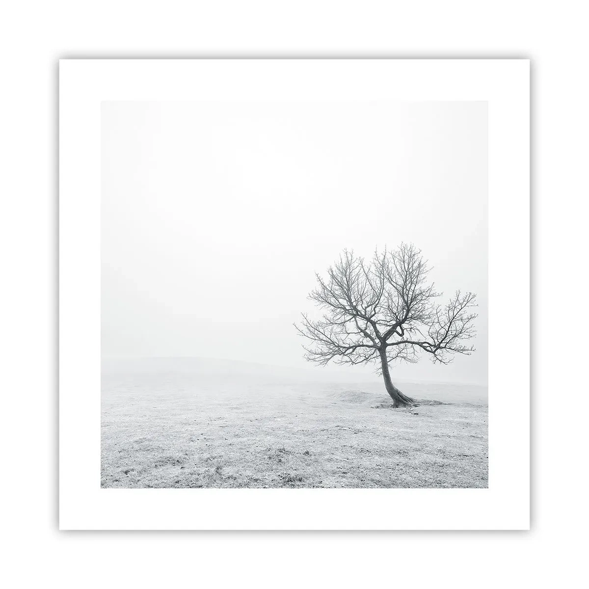 Poster - Against Nothingness - 40x40 cm
