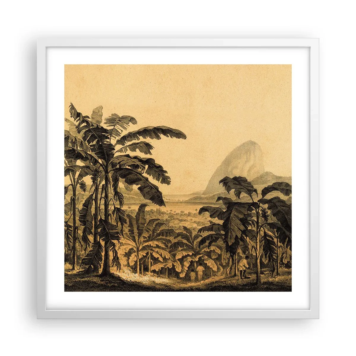 Poster in white frmae - In Colonial Character - 50x50 cm