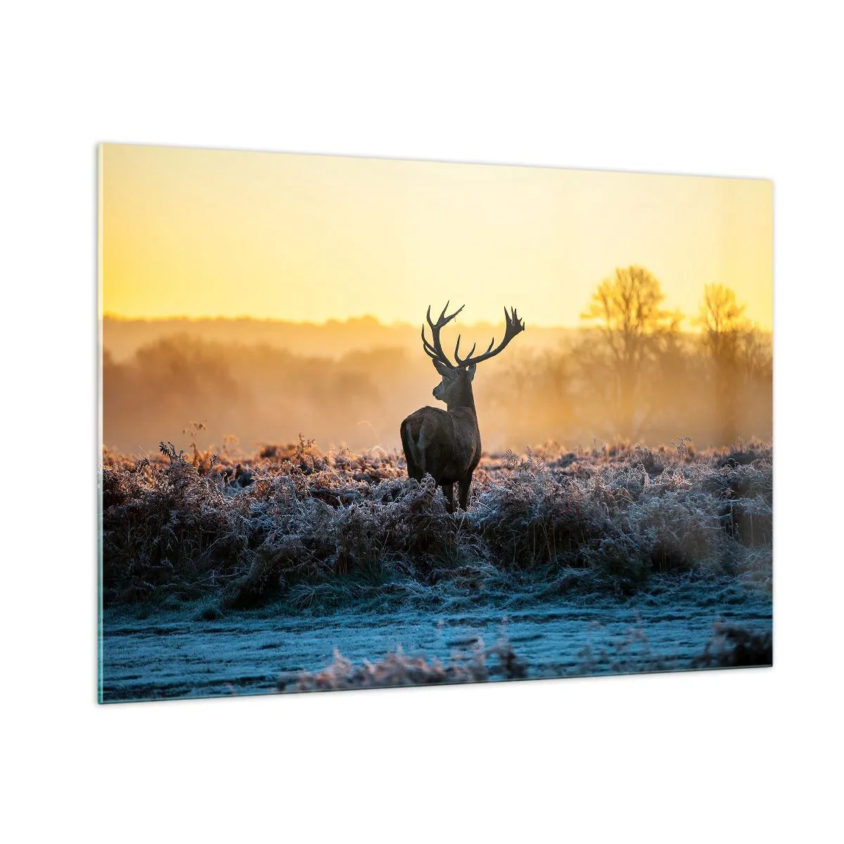 Glass picture - Crowned in Its Kingdom - 100x70 cm